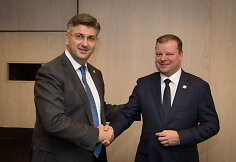Andrejus Plenkovičius, Saulius Skvernelis