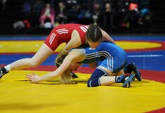 2017 metų Lietuvos imtynių čempionatas