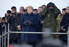 Lietuvos prezidentė Dalia Grybauskaitė stebėjo NATO pratybos &bdquo;Geležinis kardas 2014"