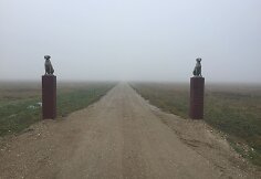 Kelias link augintinių krematoriumo