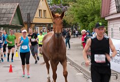 Kumelaitė trasoje