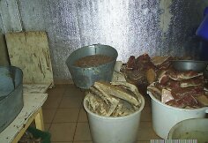 Nelegalus mėsos cechas