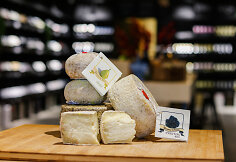 Pecorino sūris
