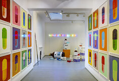Damien Hirst &bdquo;Schizophrenogenesis&ldquo;