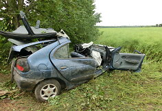Kėdainių rajone į medį trenkėsi &bdquo;Renault&ldquo;