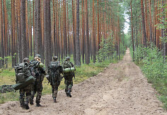 &Scaron;aulių sąjungos veikla