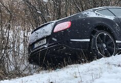 Nuo kelio nuvažiavo &bdquo;Bentley&ldquo;