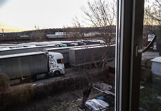 Vilkikai Vilniaus Agrastų gatvėje