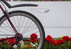 Dviratininkų protestas prie Seimo