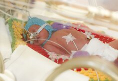 Vilniečių Erikos ir Miroslavo &Scaron;ilobritų &scaron;eima antradienį susilaukė trynukų.
