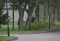 Pratybų akimirka