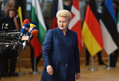 Dalia Grybauskaitė Europos Vadovų Taryboje Briuselyje