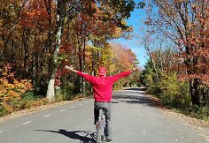 Auksinis pernyk&scaron;tis ruduo Meine