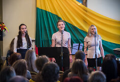 Labdaros projektas „Lietuva-Airija 2013“