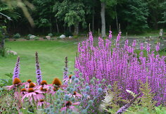 Inutės ir Miroslavo Neverovskių sodyba
