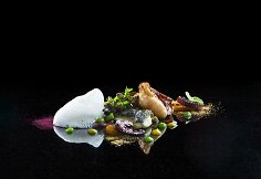 &bdquo;Bouillabaisse&ldquo;