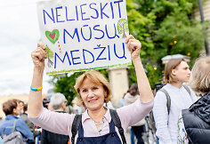 Protestas dėl medžių J.Basanavičiaus gatvėje