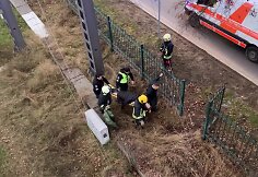 Vilniuje vaikinas &scaron;oko ant traukinio &ndash; nuplė&scaron;ė kabelį: elektra trenkė ir medikui