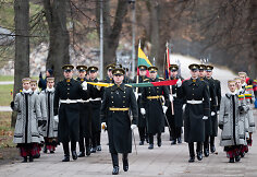 Lietuvos vėliavos diena