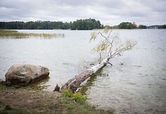 Stiprus vėjas Vilniuje varto daiktus