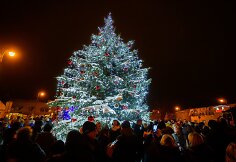 Rokiškio Kalėdų eglės įžiebimas
