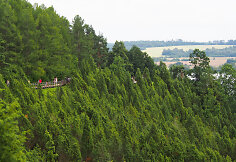 Kadagių slėnis