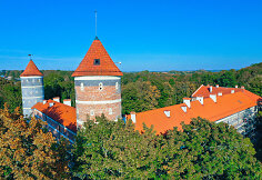 Panemunės pilis