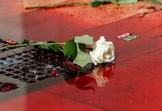 Paryžiuje per protestą liejosi netikras kraujas