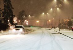 Pavasarinė pūga Vilniuje