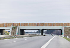 Žvėrių tiltas virš automagistralės A5