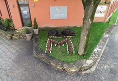 Biržai