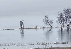 Potvynis pamaryje.  2026 m. Kovo 16 d. 