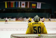 Mantas Armalis