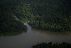 Amazonės žiotyse naftos ie&scaron;koti planuojantys brazilai kelia pavojų vietinei bendruomenei ir gamtai