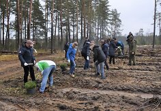 Vienas iš netikėtumų – į programą įtrauktas miško sodinimas