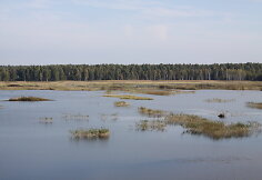 Novaraistis
