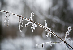 Žiema Verkių regioniniame parke