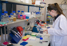 Vilniaus universiteto Biotechnologijos instituto profesoriaus Virginijaus &Scaron;ik&scaron;nio laboratorija