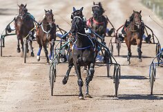 &bdquo;Derby&ldquo; ir &bdquo;Kriterium&ldquo; finale 8 ristūnai žirgai pagerino savo rezultatus