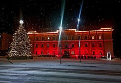 Varėnos Kalėdų eglė