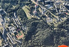 Dovilės Filmanavičiūtės Vilnius