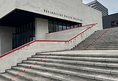 Roko Darulio Vilnius