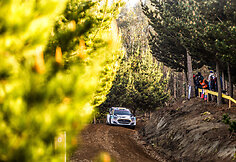WRC organizatorių &bdquo;facebook&ldquo; puslapyje patalpinta nuotr.