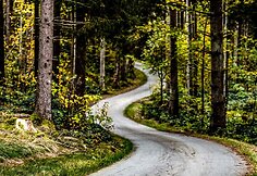 WRC organizatorių &bdquo;facebook&ldquo; puslapyje patalpinta nuotr.