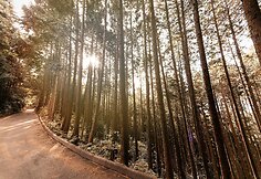 WRC organizatorių &bdquo;facebook&ldquo; tinkle patalpinta nuotrauka