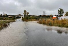 Bendorėlių gyvenvietė