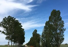 Idos kelionė &bdquo;Camino de Santiago&ldquo; keliu