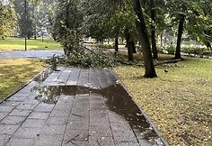 Vilniuje dėl liūties virsta medžiai