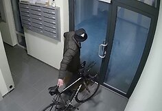 Vagystės akimirkos