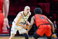 Dovis Bičkauskis